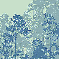 Acer - Clearing