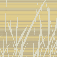 Grassfields - Autumn